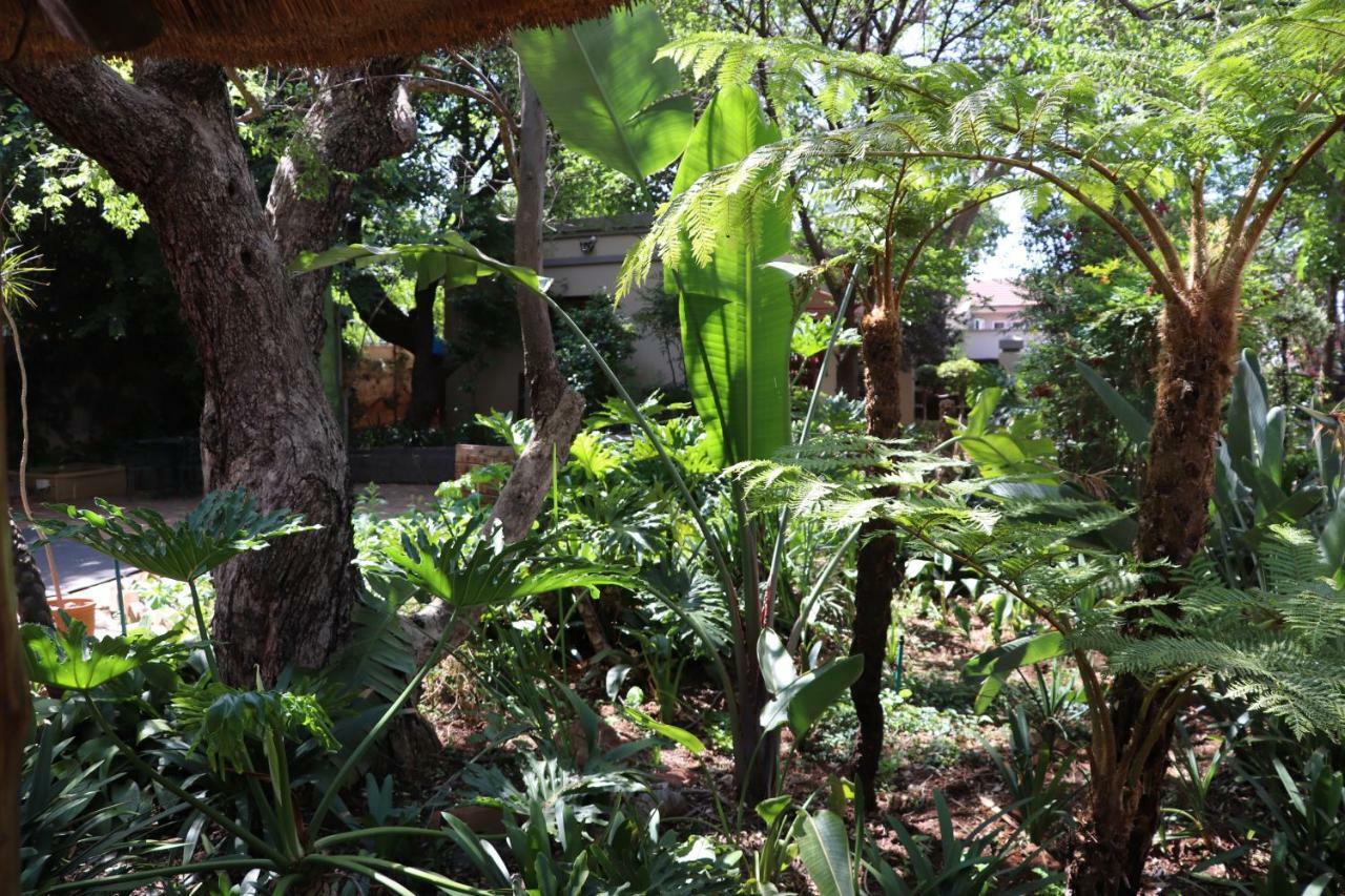 Greenwoods Self-Catering Pretoria-Noord Εξωτερικό φωτογραφία